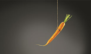 carrot dangling from a string