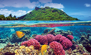 Lush green volcanic island rising above the sea and a colorful coral reef and fish below the surface of the water