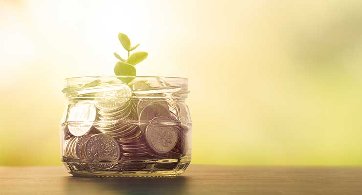 Jar of coins with plant growing out