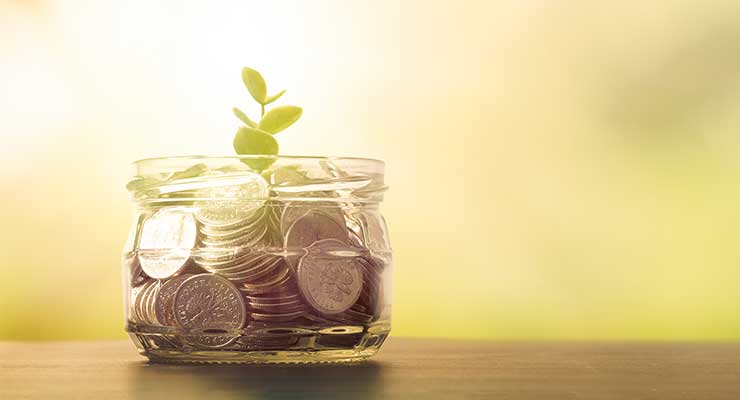 Jar of coins with bud growing out