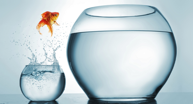 Elite Access Course: From Adversity to Resilience: How to Turn Setbacks into Opportunities