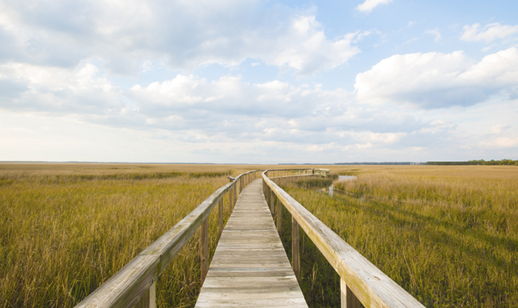 Amelia Island FL