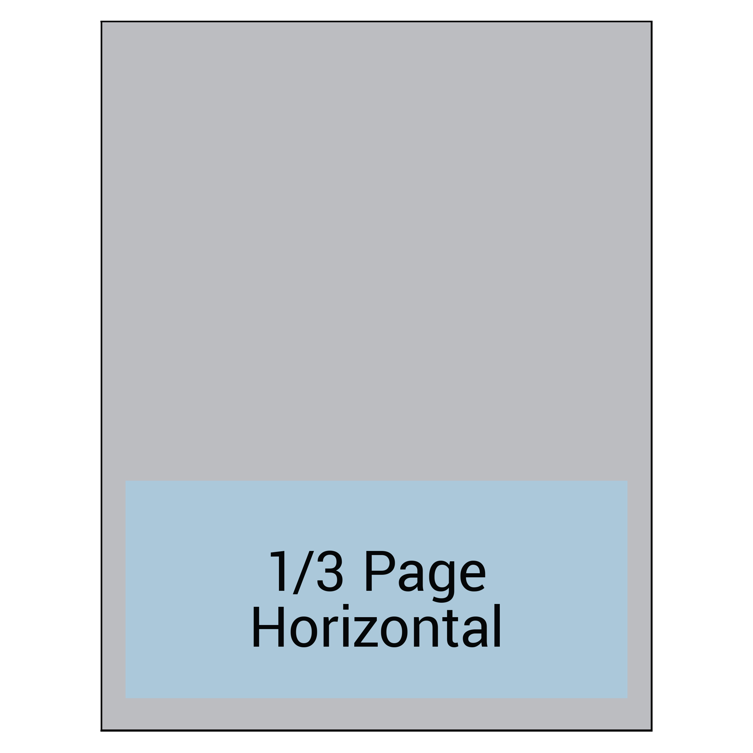 1/3 Page Horizontal