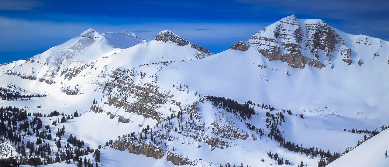 page header image