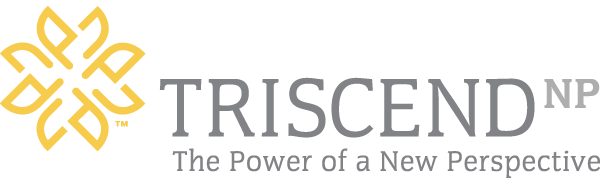 Triscend logo